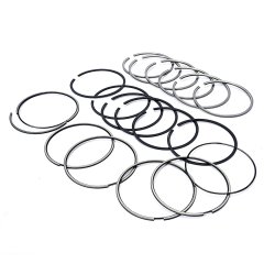 PISTON RING SET STD (HCV)