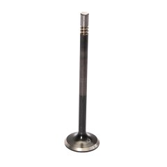 EXHAUST VALVE