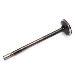 EXHAUST VALVE
