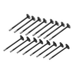 ENGINE VALVE SET LCV E494