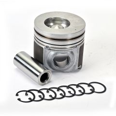 PISTON WITH PIN & SNAP RING (E483 TCI)